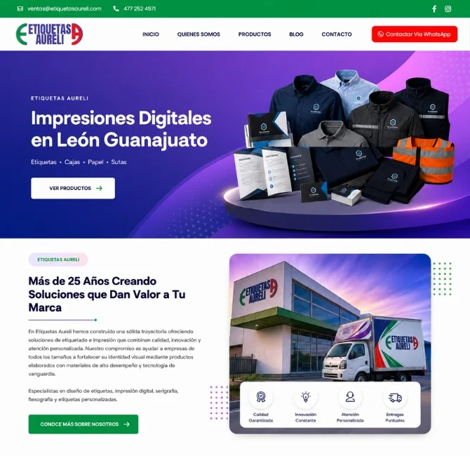 páginas web Guadalajara