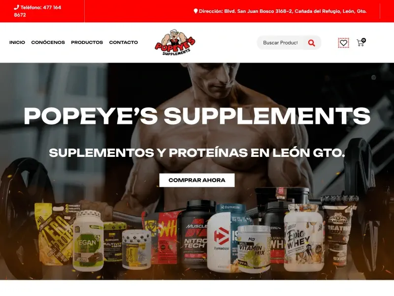 diseñadores web Guadalajara